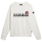 NPN1A